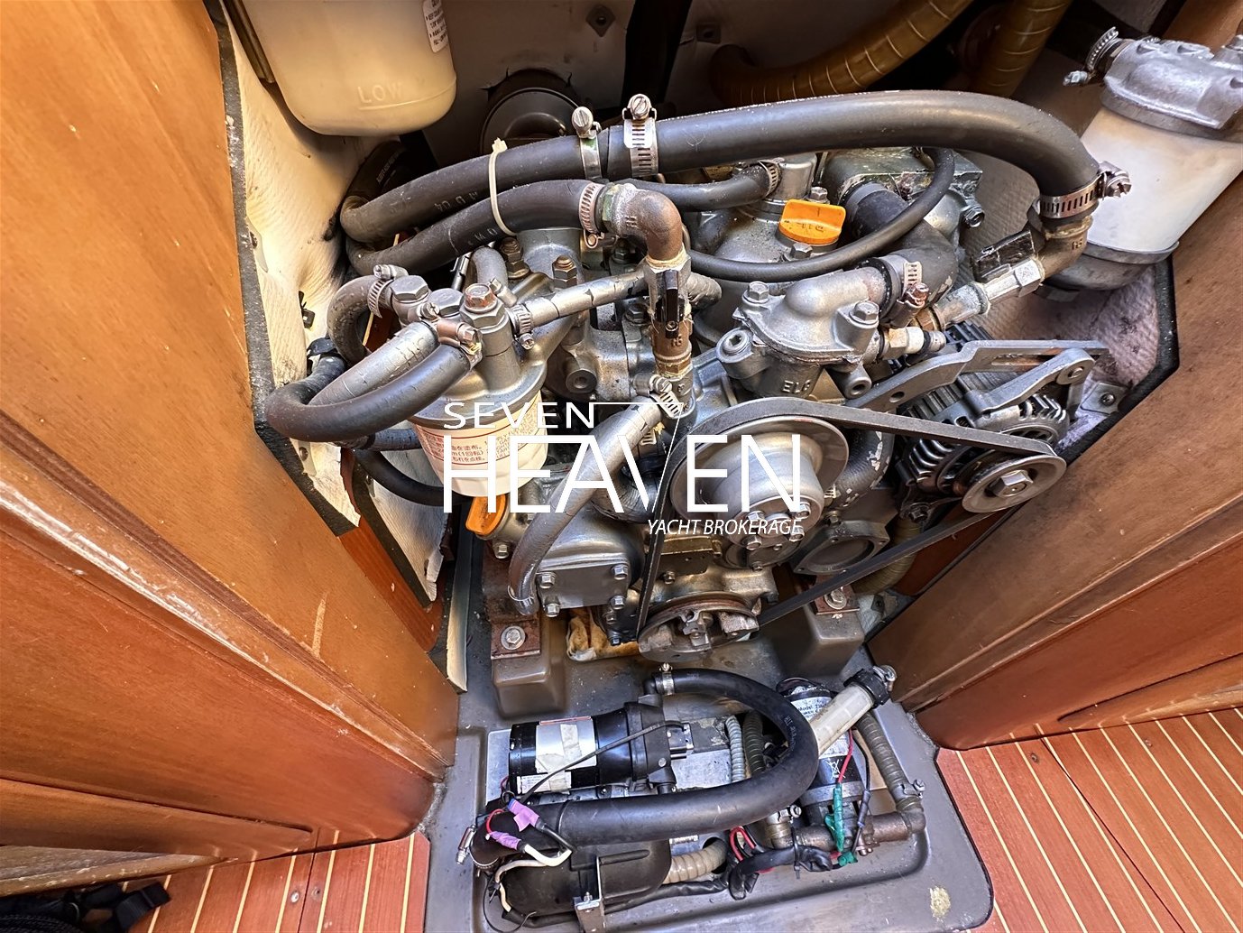 Giulia 29